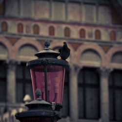 venezia_009