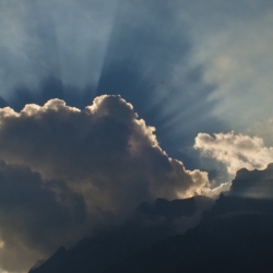 Rays of Shadow